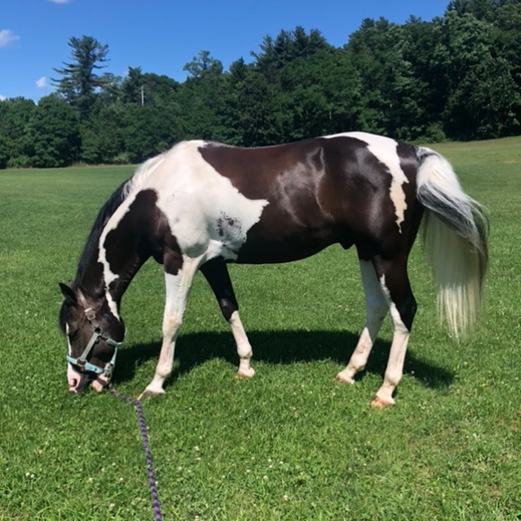 Meet your Posher, Jean - Picture 2 of 2